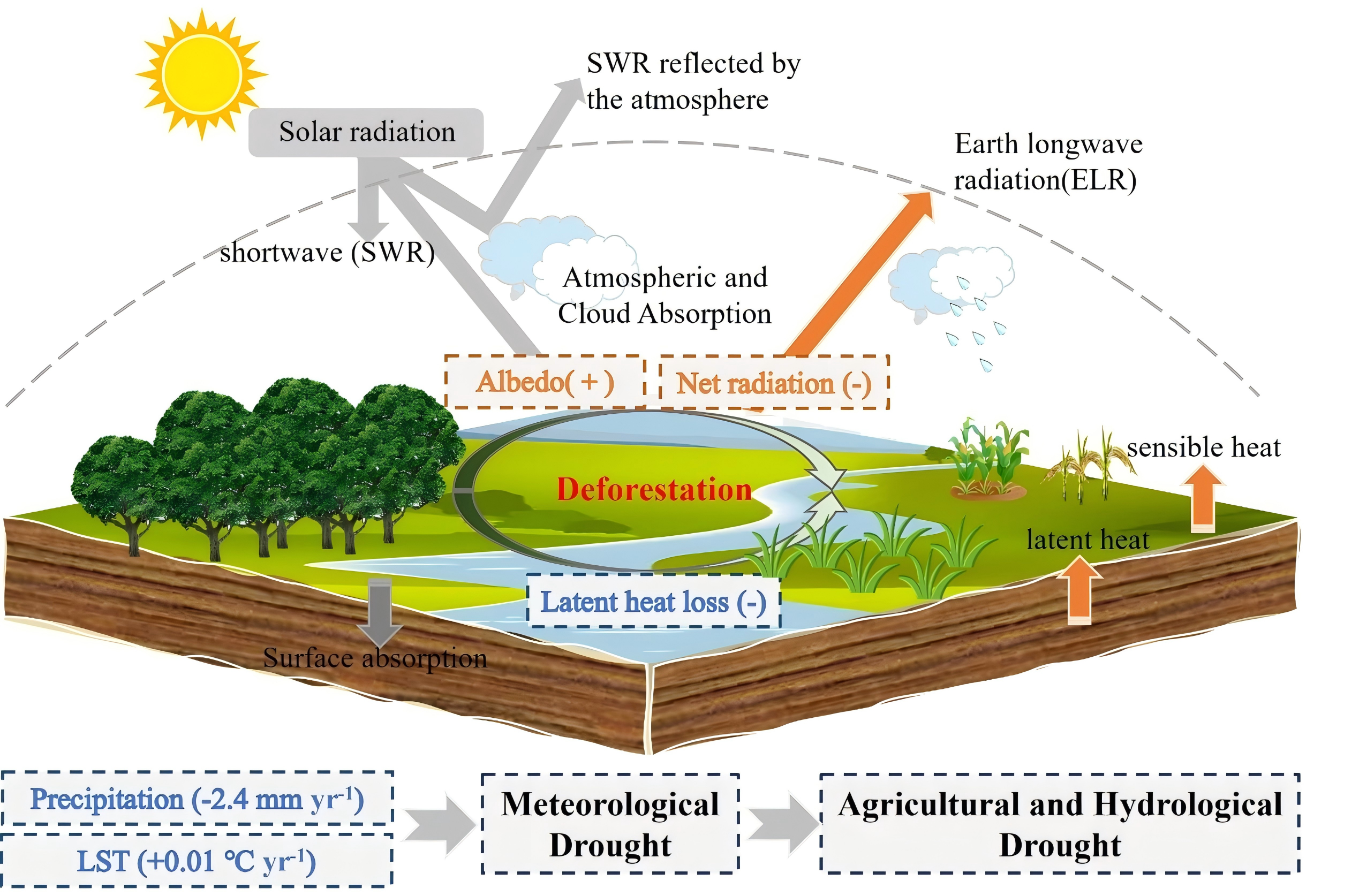 南海国际娱乐城