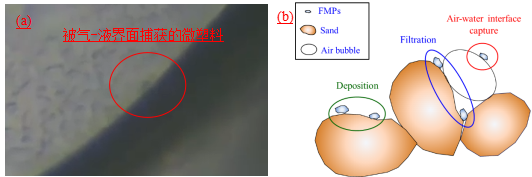 南海娱乐